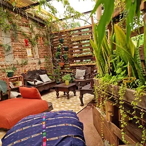 https://casa-para-turistas-zona-4.guatemalaantiguahotels.com