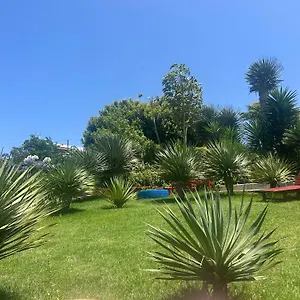 https://casa-diego.in-canary-islands.com